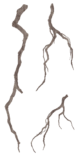 AET443_177_a.png