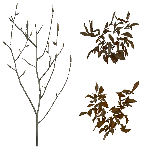 AET490_000_a.png