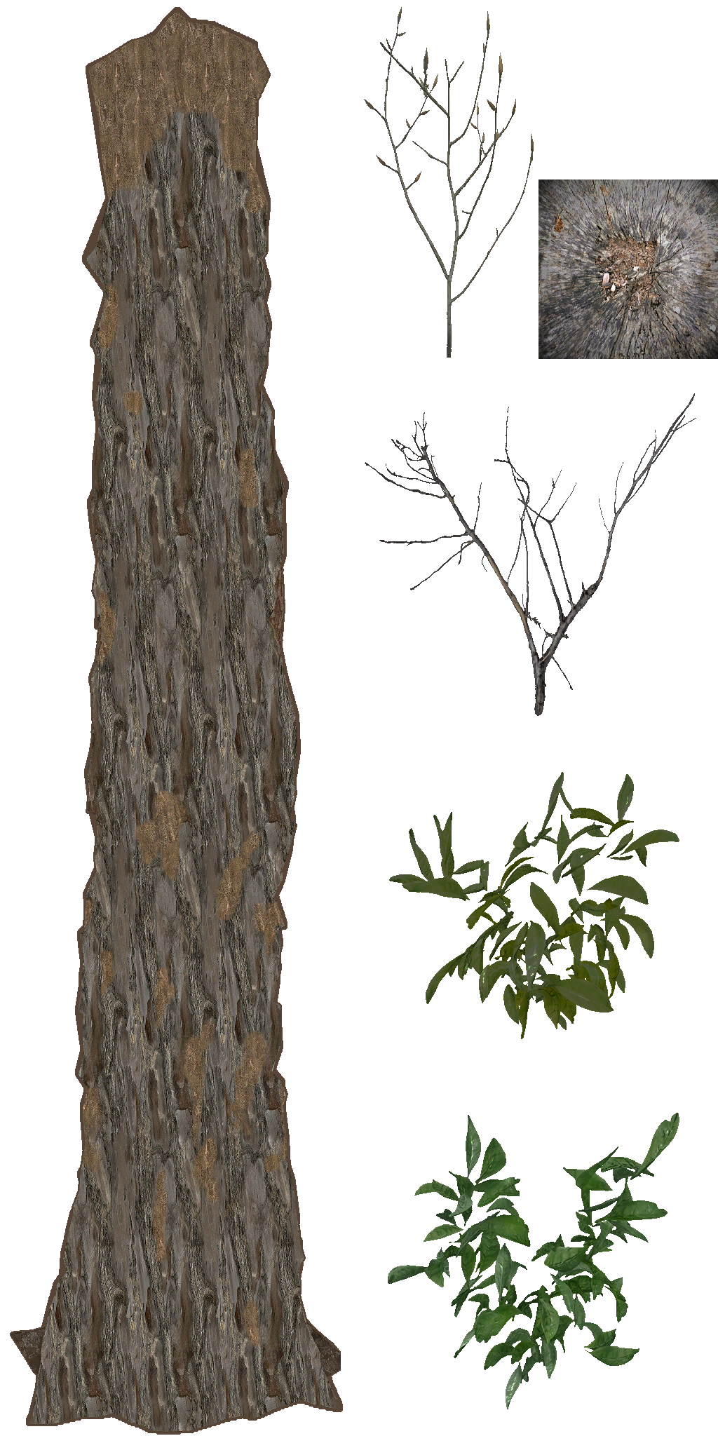 AET490_030_a.png