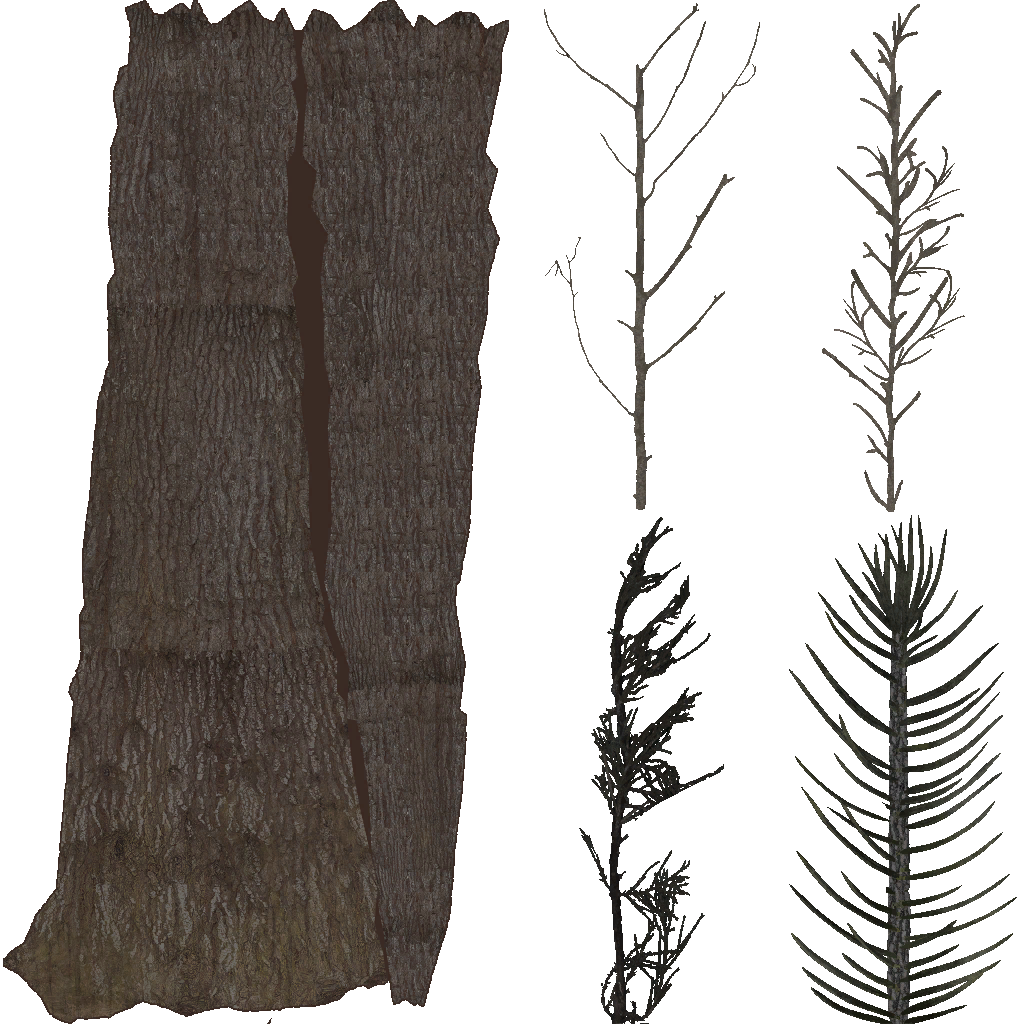 AET490_080_a.png