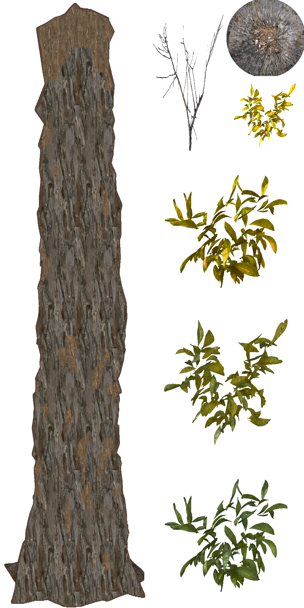 AET490_110_a.png