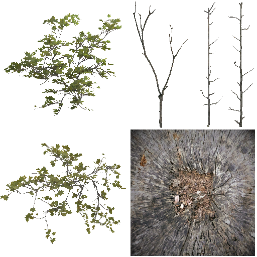 AET490_120_a.png