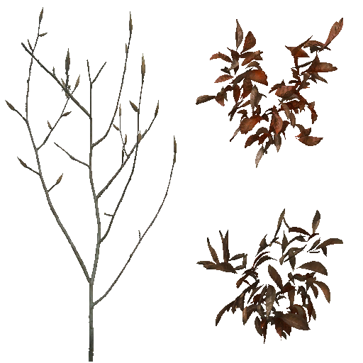 AET490_150_a.png