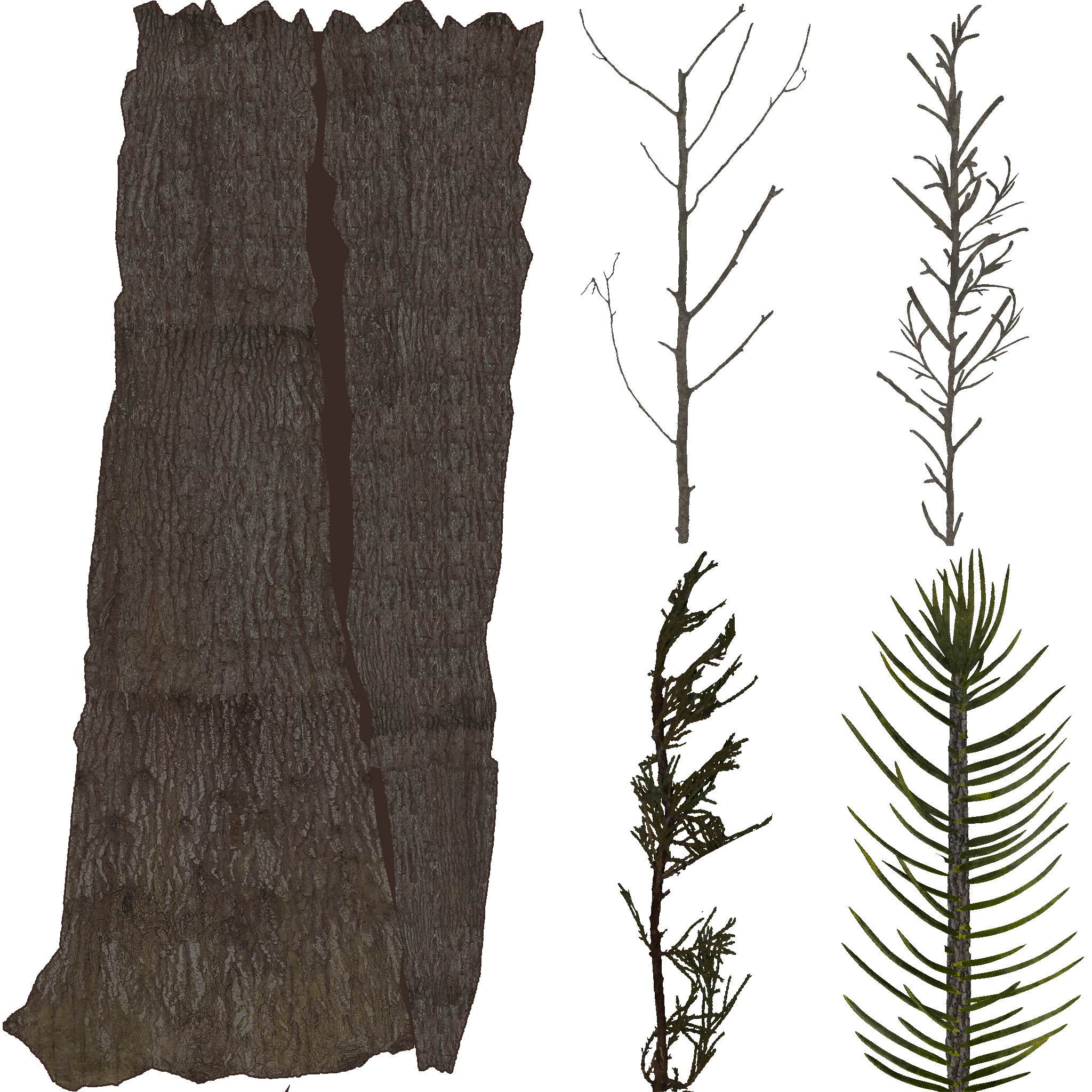 AET490_170_a.png