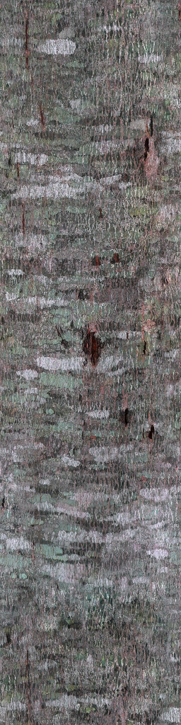AET490_560_a.png
