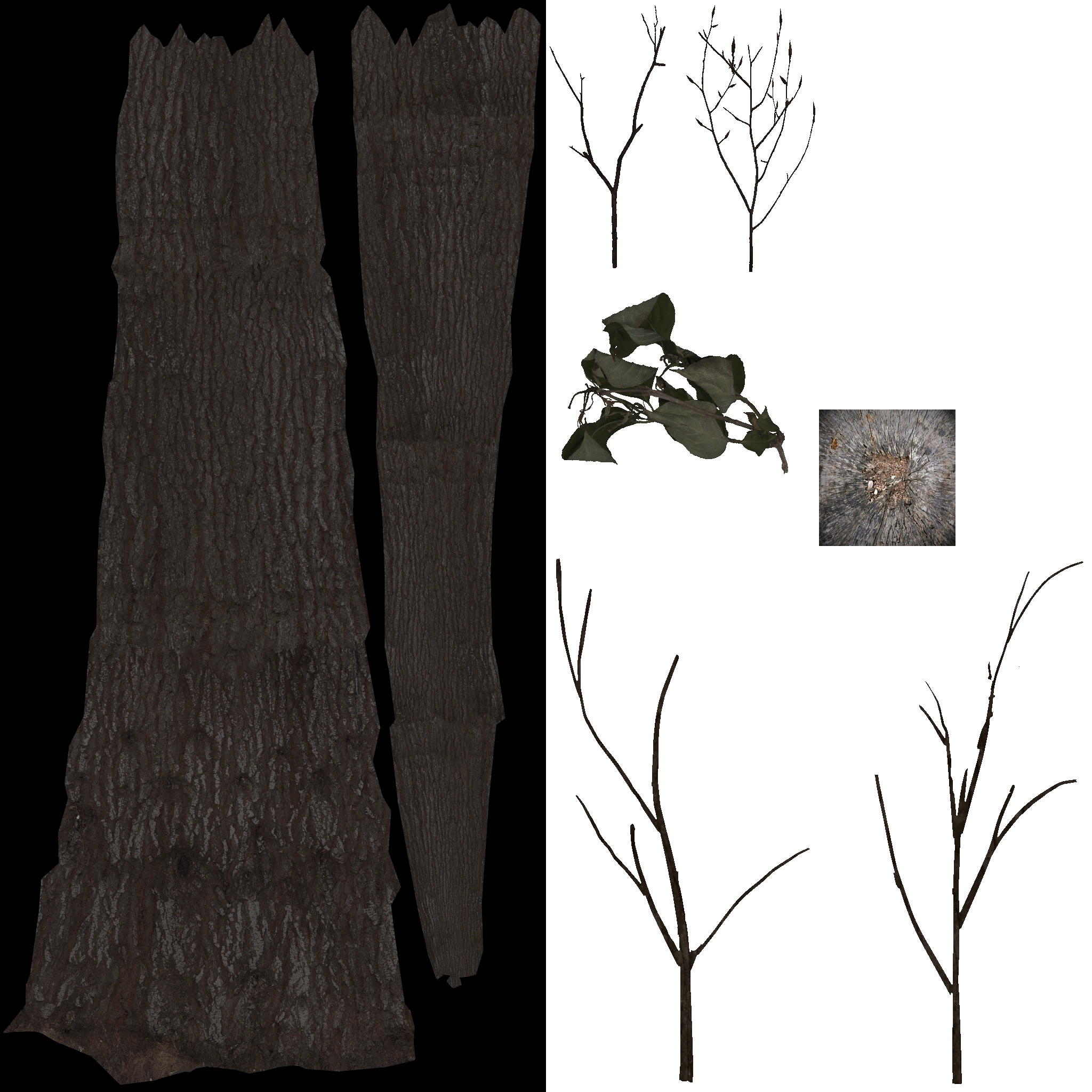 AET492_000_a.png