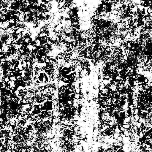 AET601_019_1m.png