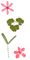 AET700_217_a.png