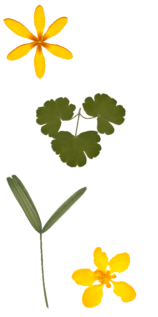 AET700_218_a.png