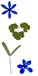 AET700_219_a.png