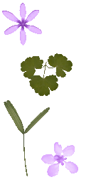 AET700_222_a.png