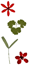 AET700_223_a.png