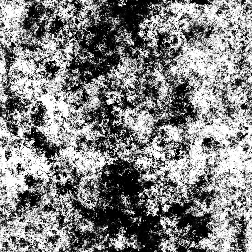 AET700_944_m.png