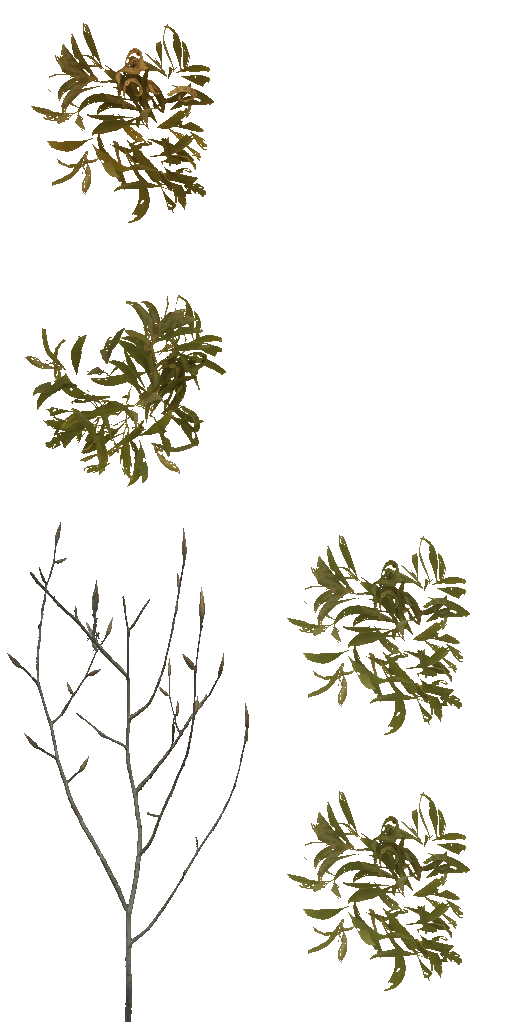 AET801_000_a.png