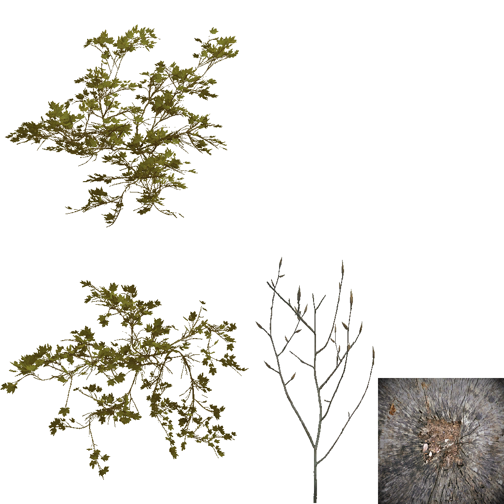 AET801_010_a.png
