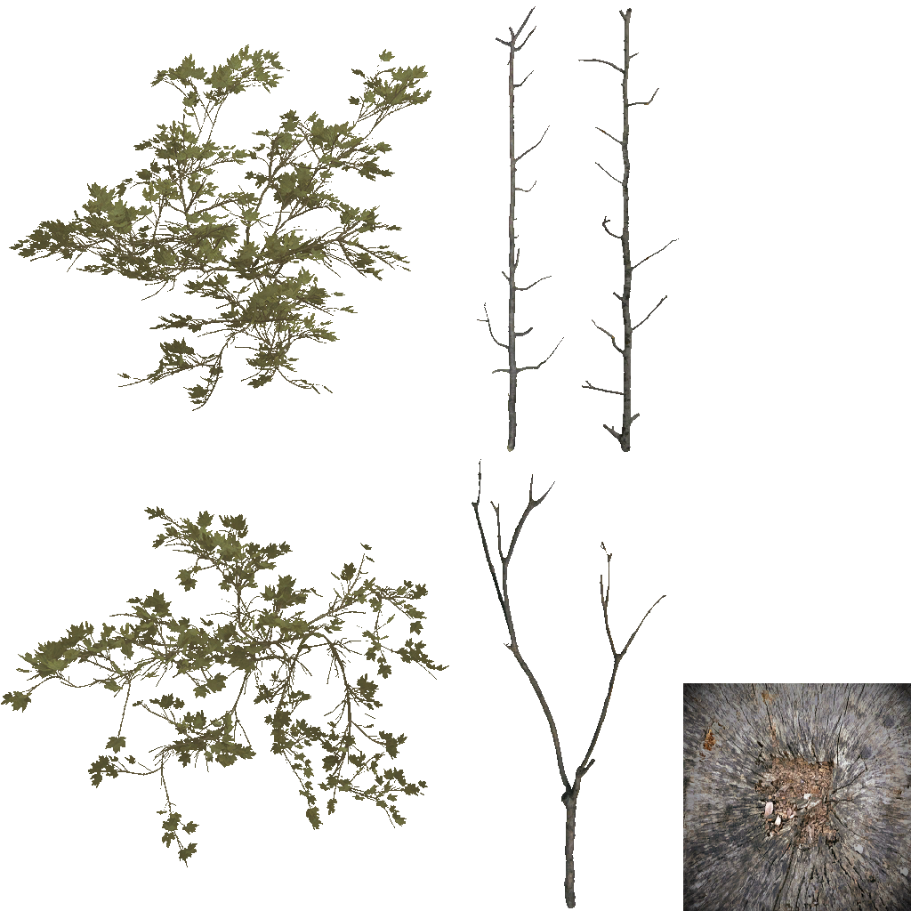 AET801_015_a.png