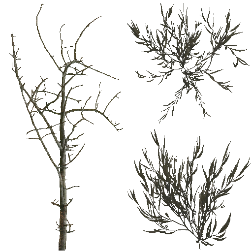 AET801_060_a.png