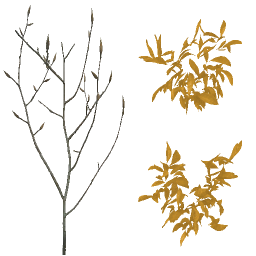 AET801_080_a.png