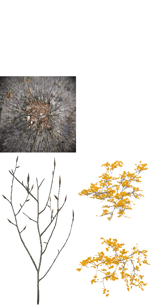 AET801_090_a.png