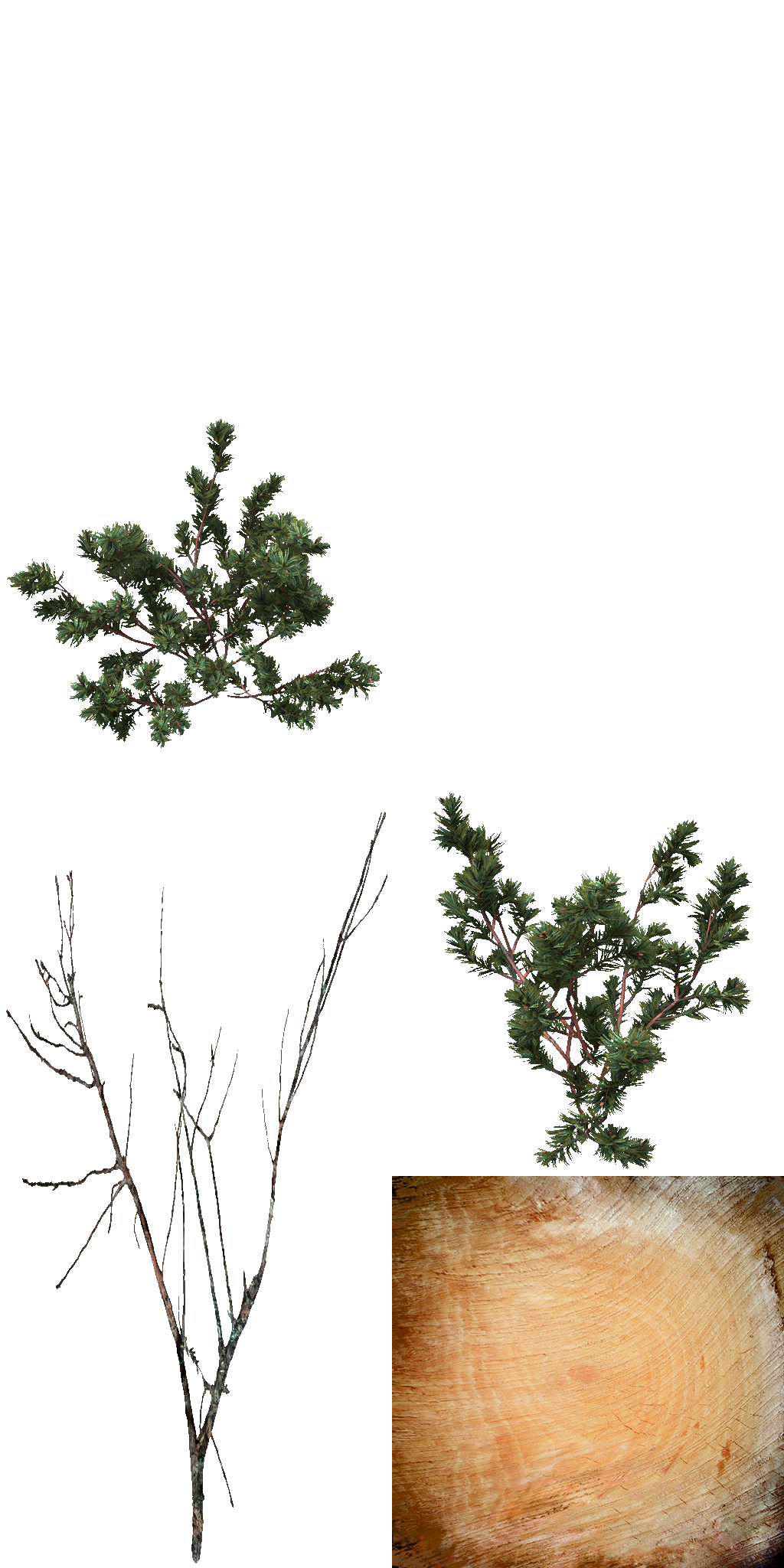 AET801_110_a.png