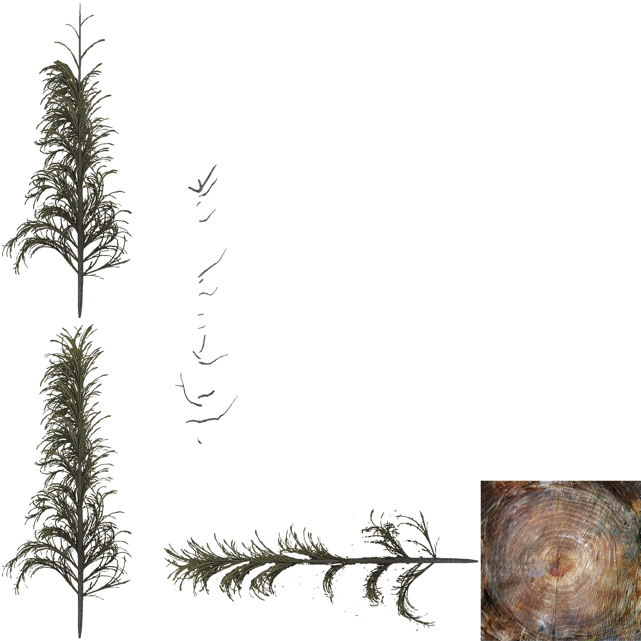 AET801_200_a.png