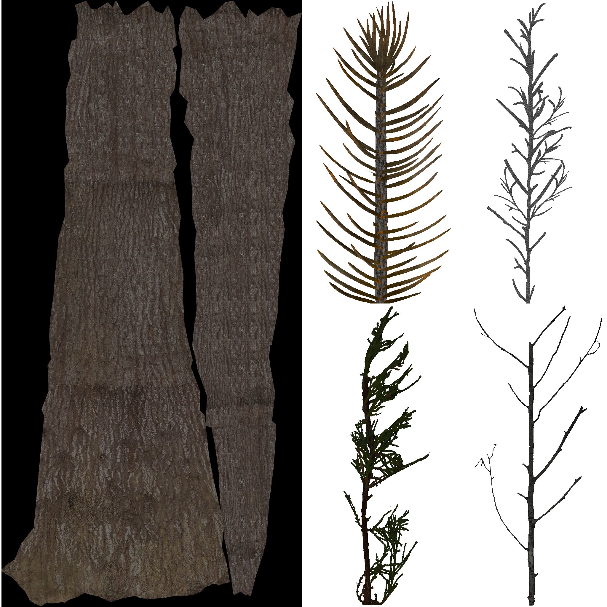 AET801_260_a.png