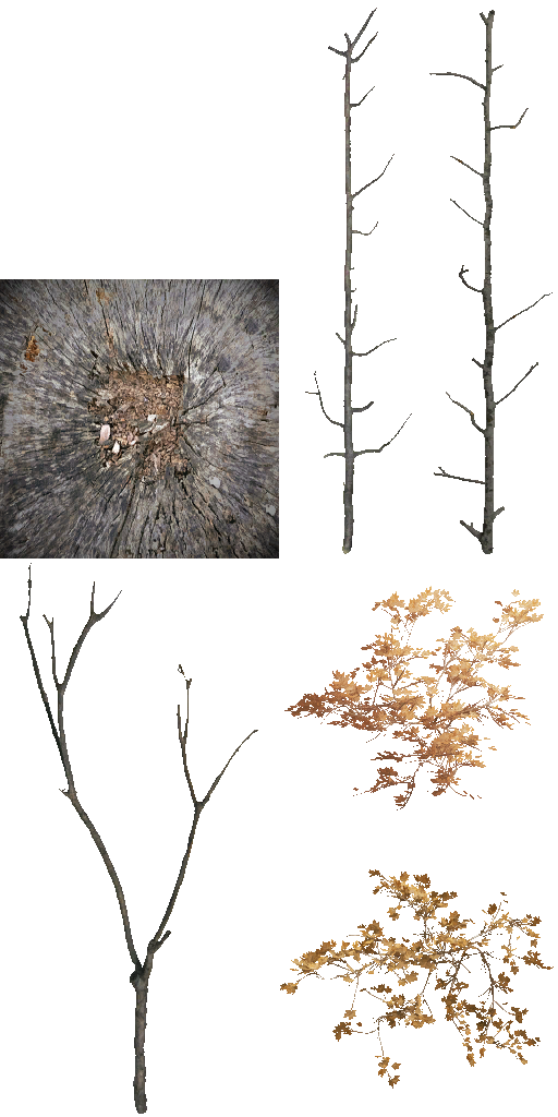AET801_335_a.png