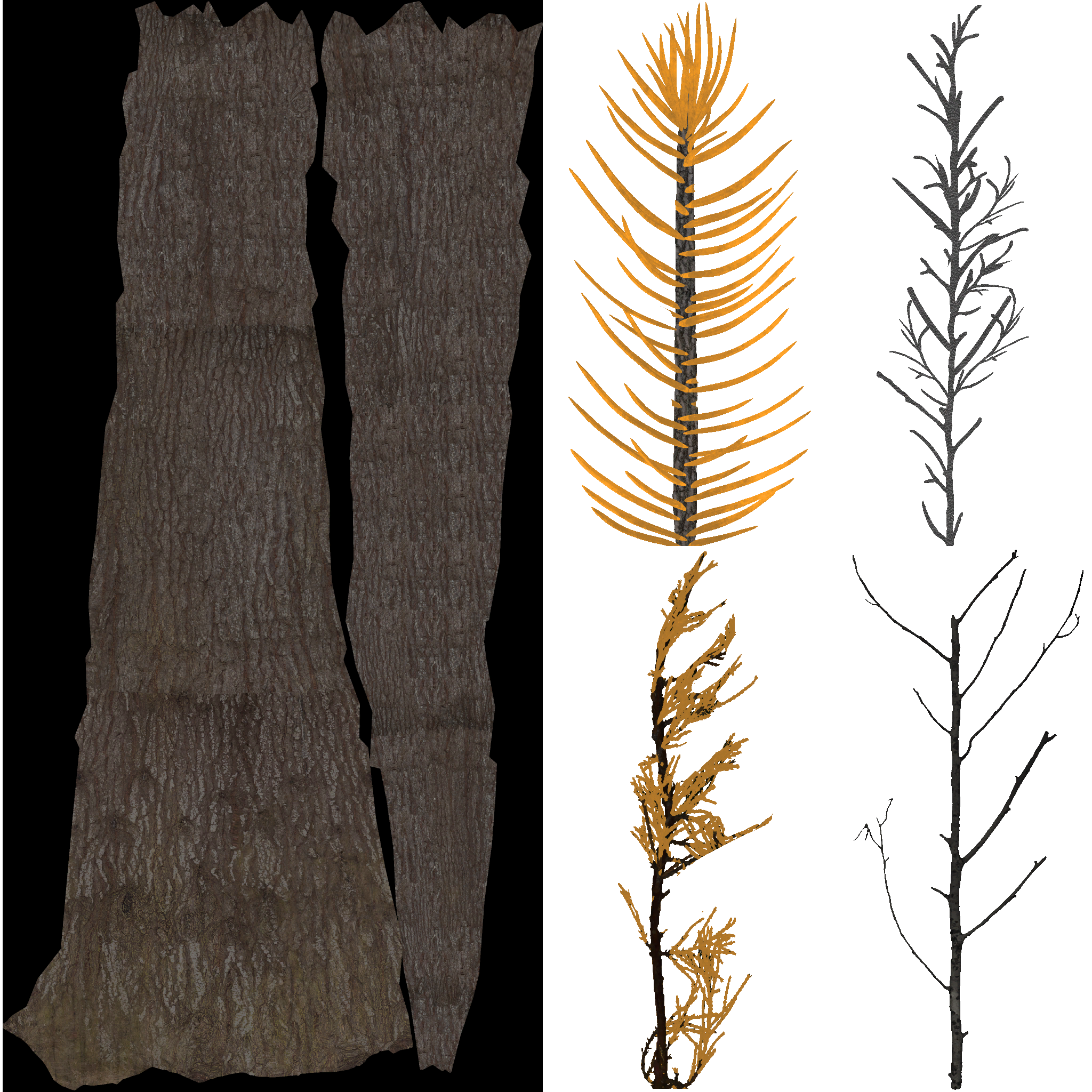 AET801_340_a.png