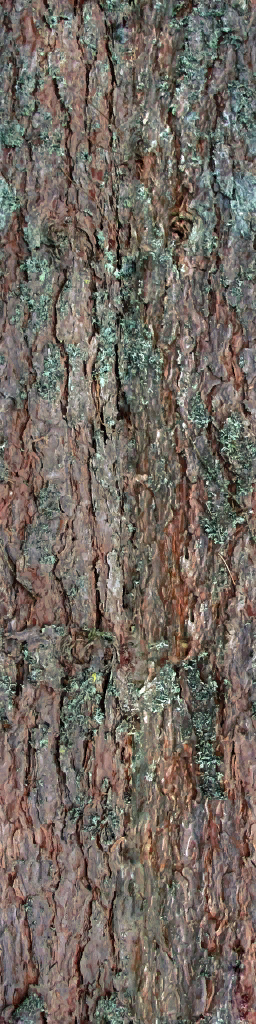AET801_610_a.png