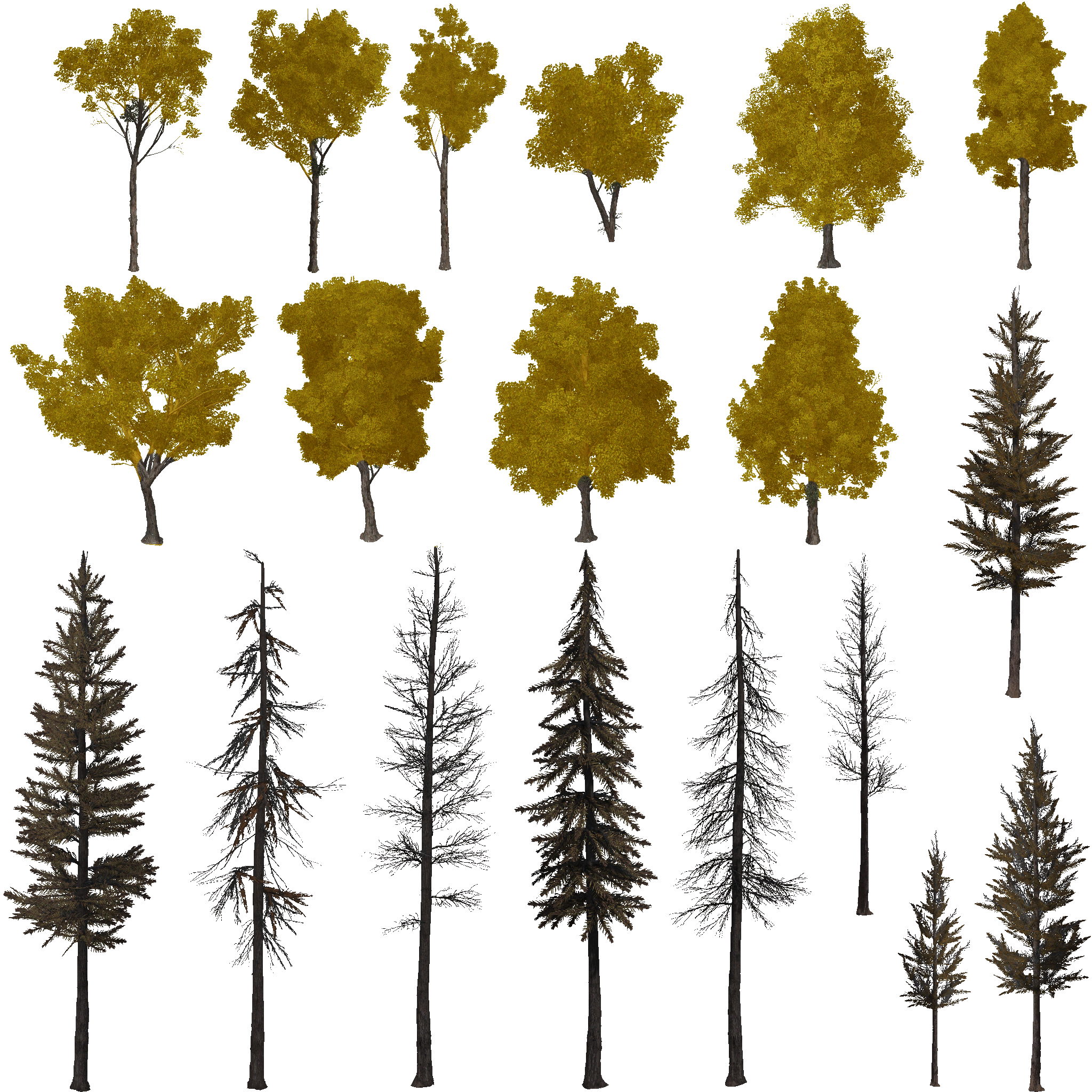 AET802_000_a.png