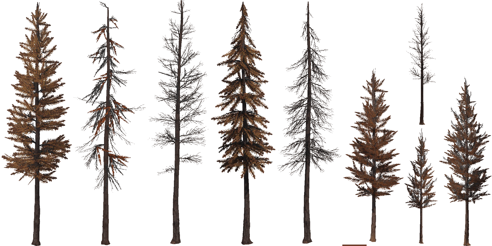 AET802_001_a.png