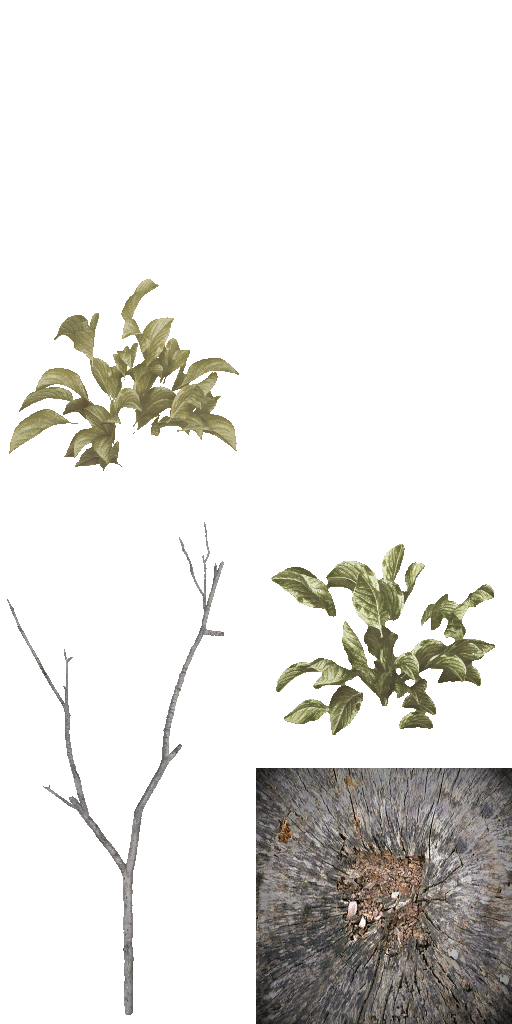 AET805_000_a.png
