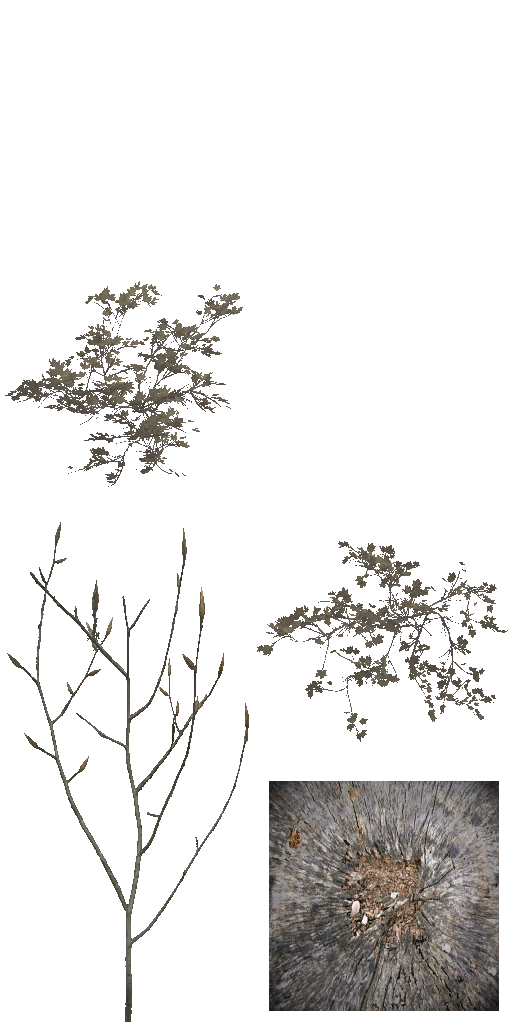 AET811_030_a.png