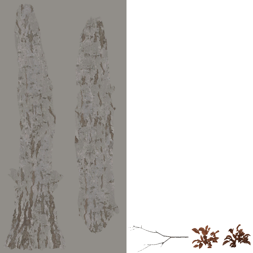 AET811_040_a.png