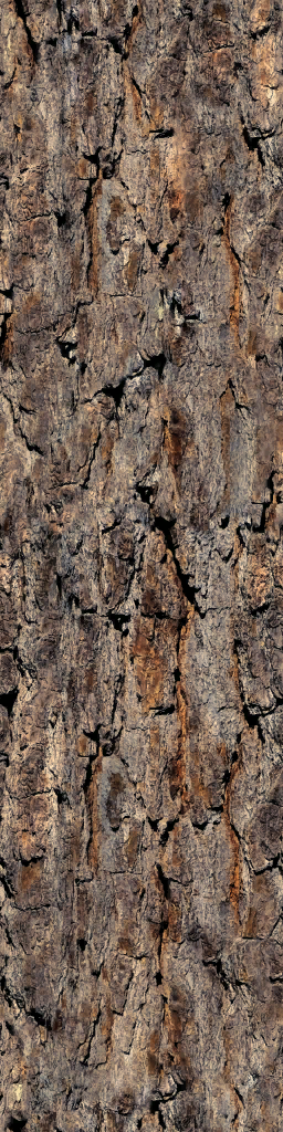 AET811_500_a.png
