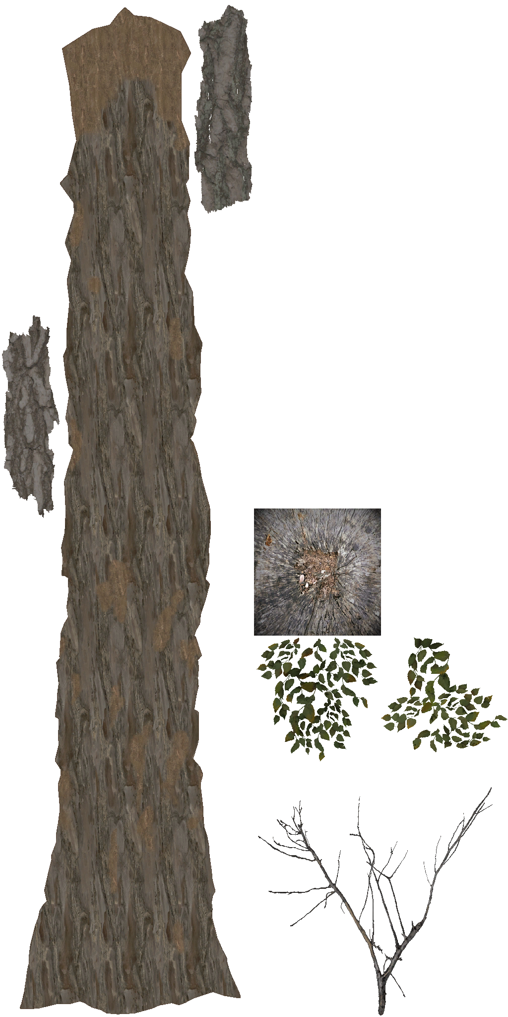 AET813_020_a.png