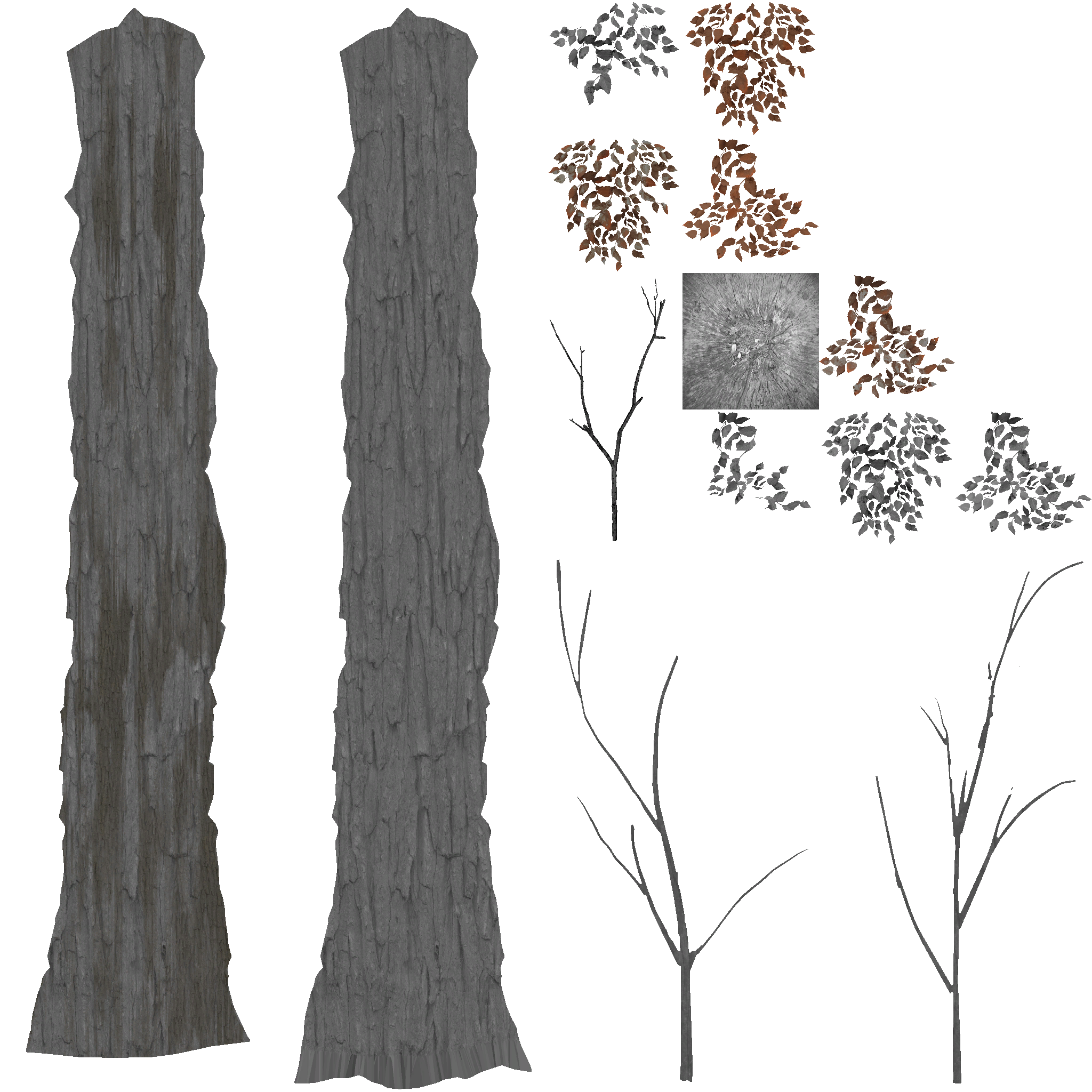 AET813_030_a.png
