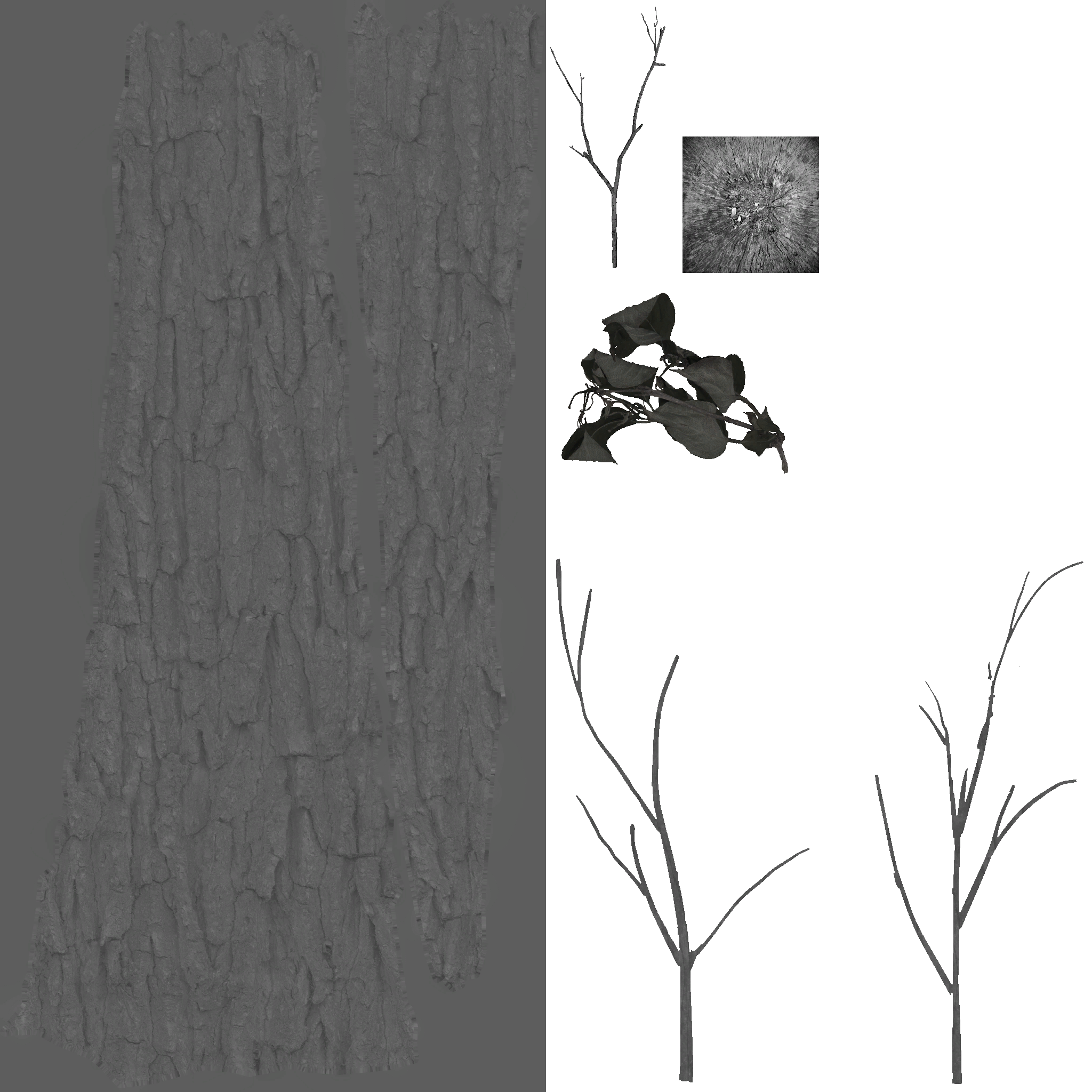 AET813_040_a.png