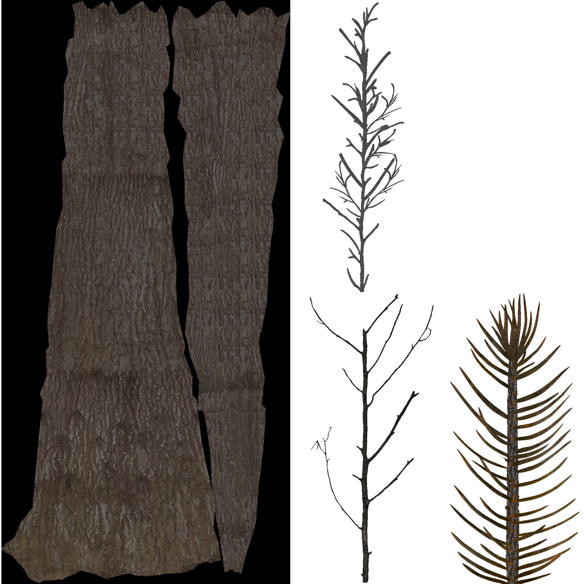 AET813_050_a.png