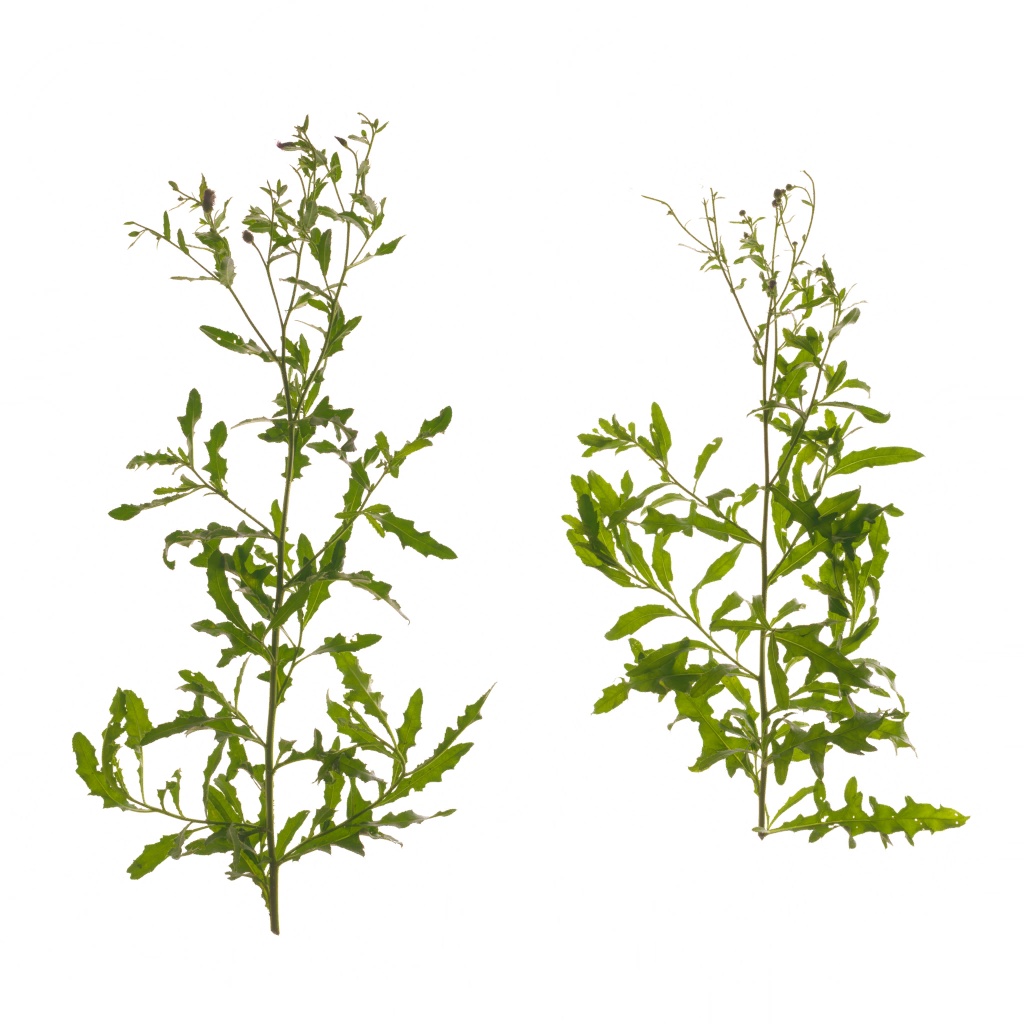 AET821_014_a.png