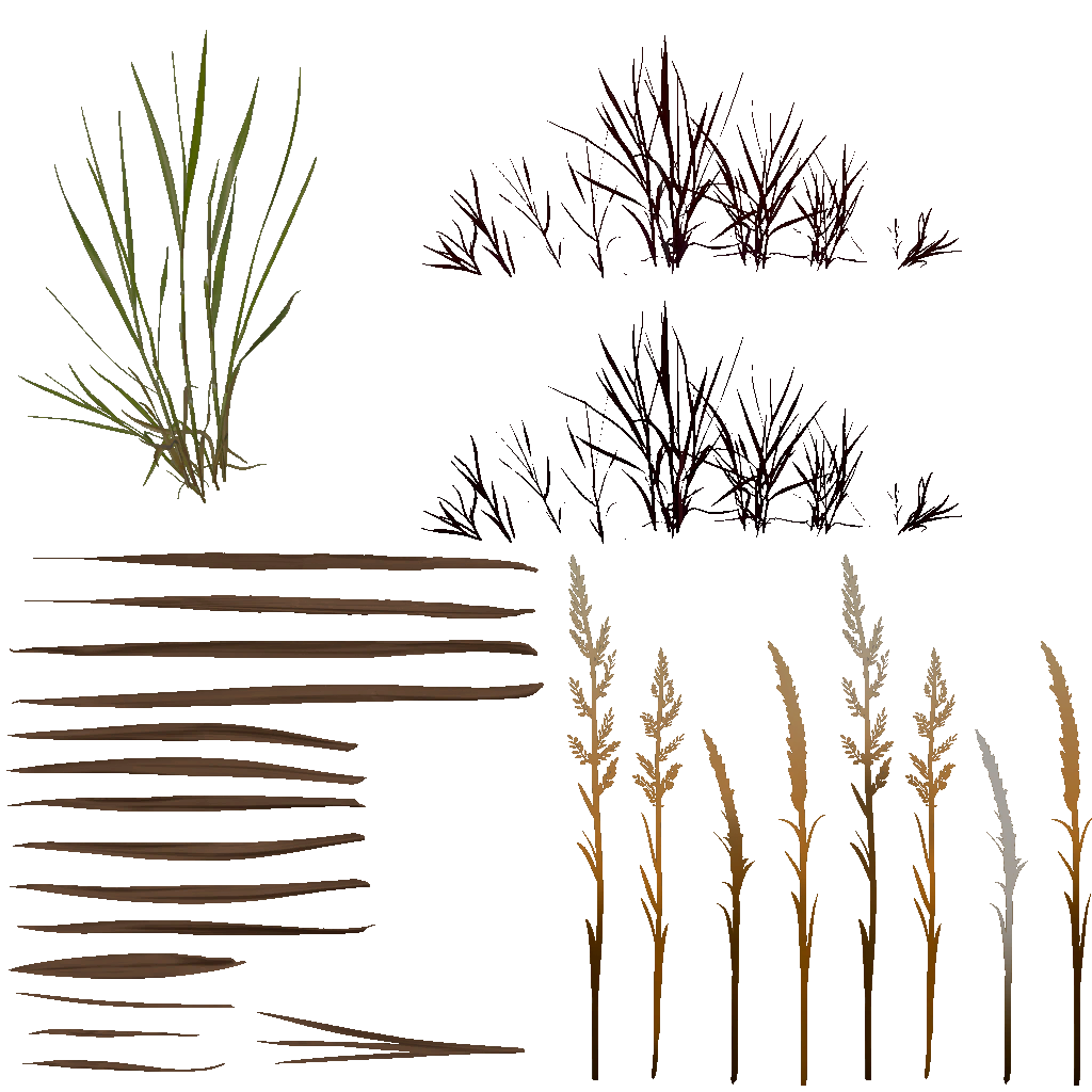 AET995_080_a.png