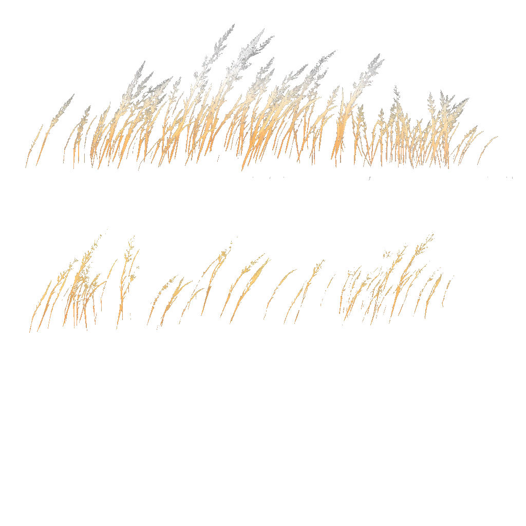 AET995_083_a.png