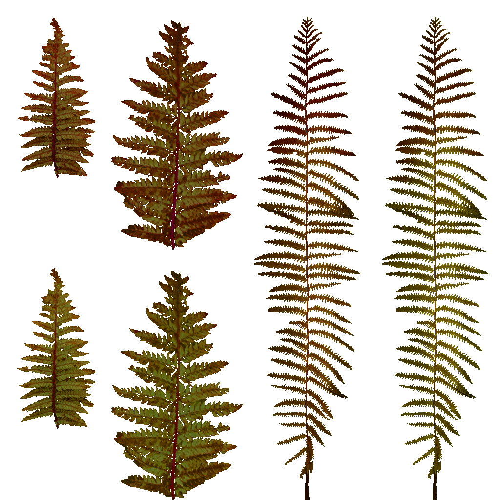 AET995_218_a.png