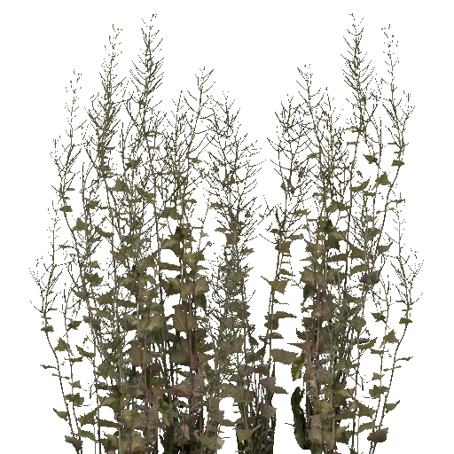 aet005_031_a.png