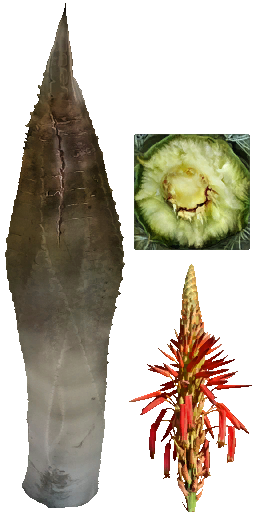 aet005_060_a.png