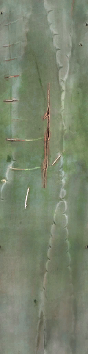 aet005_061_a.png