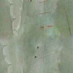 aet005_062_a.png