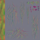 AET002_533_n_l.png