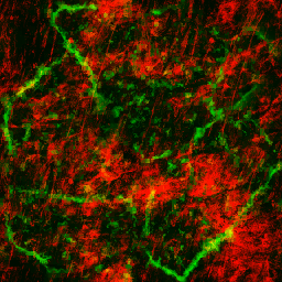 AET002_536_3m_l.png
