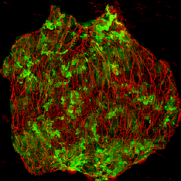 AET002_549_3m_l.png